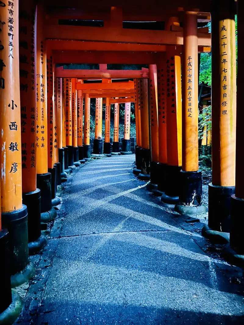 Torii gates at Fushimi Inari Shrine